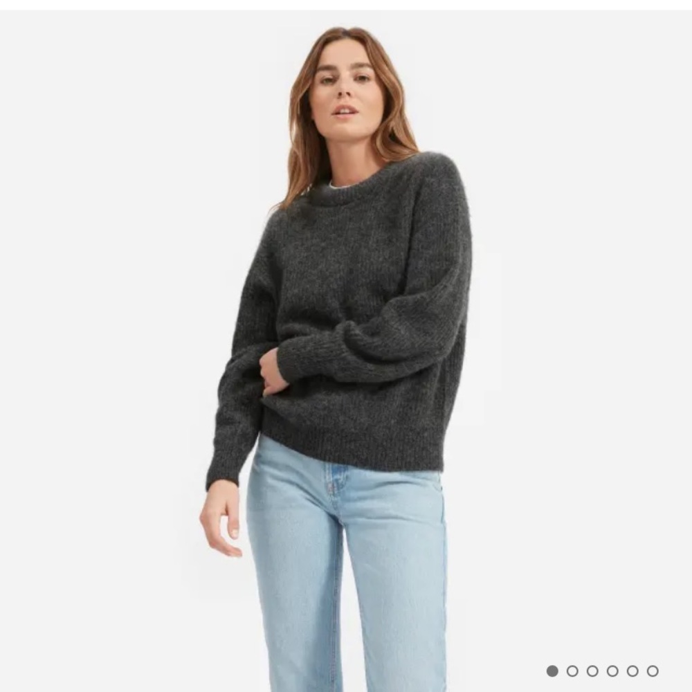 Everlane Oversized Alpaca Crew